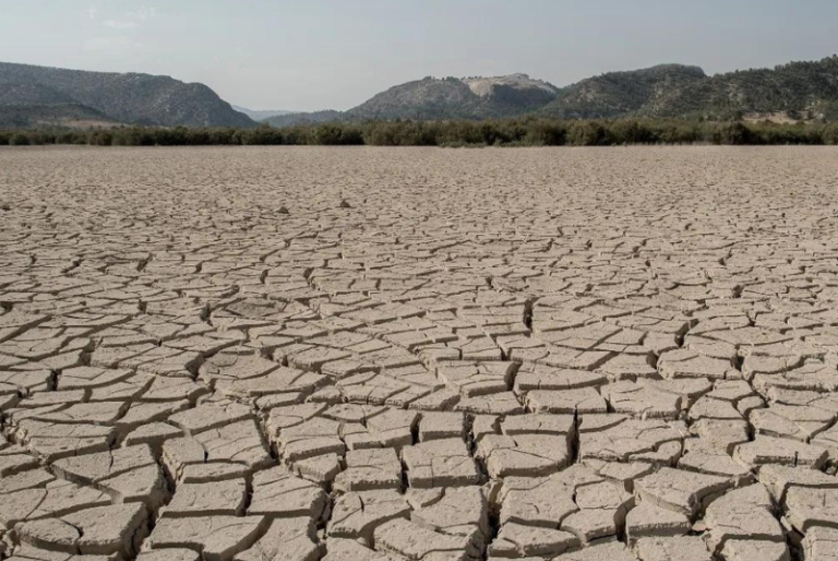 ONU alerta sobre degradación crónica en el suelo de la Tierra