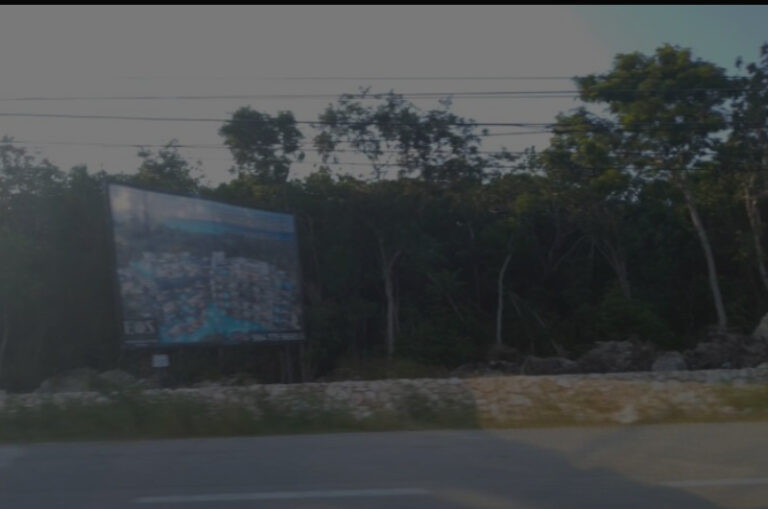 Empresa del Ejército será administradora del Parque Nacional ‘El Jaguar’ en Tulum