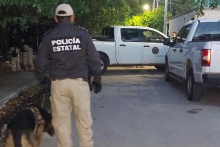 Realizan cateo en Progreso por narcomenudeo