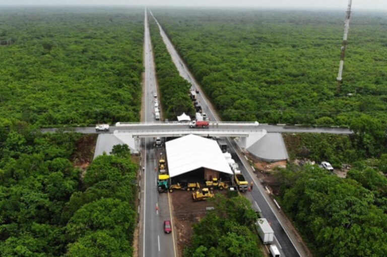 Juez admite ampliación de amparo contra obras del tramo 5 del Tren Maya
