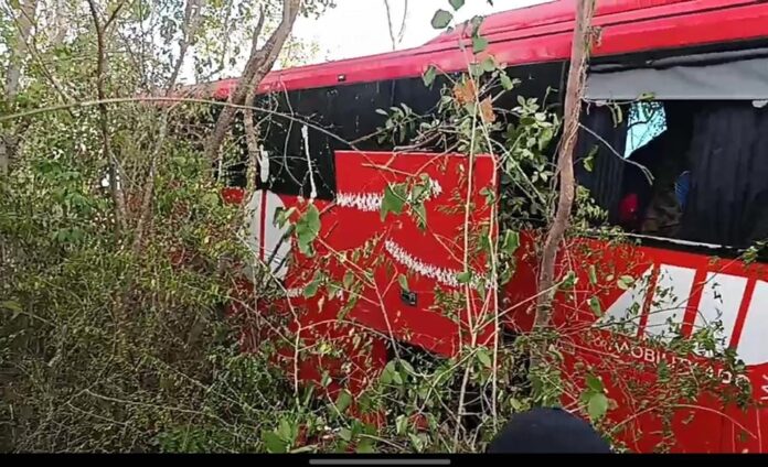 342889488_239056221959013_701061480031098769_n