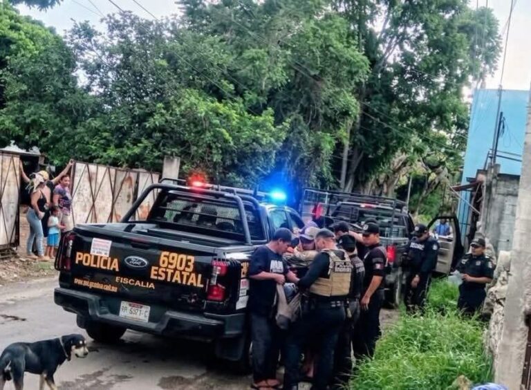 Aseguran más de 10 escopetas y carne de venado y jabalí durante operativo en Ticul