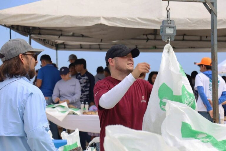🌊🧹 Más de 600 voluntarios se suman a la limpieza de las playas de #Progreso  Más de 600 personas participaron en una jornada de limpieza en la zona costera de Progreso, donde se retiraron 816 kilos de residuos sólidos y 18 llantas que afectaban el entorno.  La actividad fue coordinada por la Secretaría de Desarrollo Sustentable (SDS), con la participación de organizaciones, instituciones y ciudadanía, quienes se unieron para contribuir al cuidado de las playas y la protección de los ecosistemas marinos y costeros.  Entre los residuos recolectados se encontraron PET, vidrio, aluminio, basura general y otros materiales, además de las llantas que representaban un riesgo para la biodiversidad de la zona.  La jornada destacó la importancia de la participación ciudadana y el trabajo conjunto para mantener limpias las playas y promover una mayor responsabilidad ambiental.